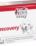 Petway Recovery 100 tablete