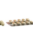 Prodivet Aplazyl 10 tablete (blister)