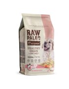Raw Paleo Healthy Grain Puppy Somon 10 kg