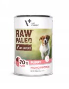 Raw Paleo Puppy Carne Porc 400 g
