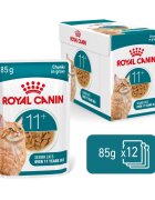 Royal Canin Ageing 11+ hrana umeda pisica senior 12x85 g
