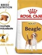 Royal Canin Beagle Adult hrana uscata caine 3 kg
