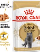 Royal Canin British Shorthair Adult hrana umeda pisica (in sos) 85 g