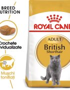 Royal Canin British Shorthair Adult hrana uscata pisica 400 g