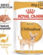 Royal Canin Chihuahua Adult hrana umeda caine (pate) 12 x 85 g