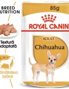 Royal Canin Chihuahua Adult hrana umeda caine (pate) 85 g