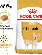 Royal Canin Chihuahua Adult hrana uscata caine 1.5 kg