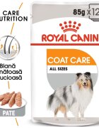 Royal Canin Coat Care Adult hrana umeda caine blana sanatoasa si lucioasa (pate) 12x85 g