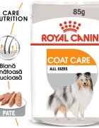 Royal Canin Coat Care Adult hrana umeda caine blana sanatoasa si lucioasa (pate) 85 g