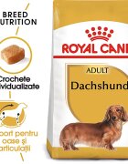 Royal Canin Dachshund Adult hrana uscata caine Teckel 1.5 kg