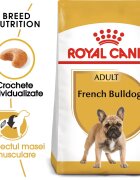 Royal Canin French Bulldog Adult hrana uscata caine 3 kg