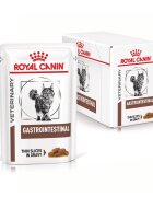Royal Canin Gastrointestinal dieta veterinara plic hrana umeda pisici sistem digestiv (in sos) 12x85 g