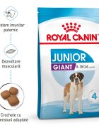 Royal Canin Giant Junior hrana uscata caine junior etapa 2 de crestere 15 kg