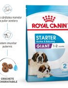 Royal Canin Giant Starter Mother & Babydog mama si puiul hrana uscata caine 15 kg