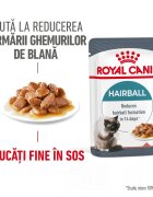 Royal Canin Hairball Care Adult hrana umeda pisica limitarea ghemurilor de blana (in sos) 85 g