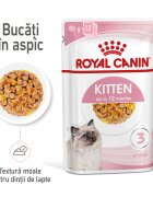 Royal Canin Kitten hrana umeda pisica (aspic) 85 g
