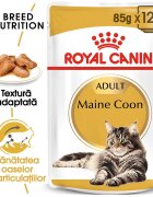 Royal Canin Maine Coon Adult hrana umeda pisica (in sos) 12 x 85 g