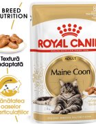 Royal Canin Maine Coon Adult hrana umeda pisica (in sos) 85 g