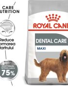 Royal Canin Maxi Dental Care Adult hrana uscata caine reducerea formarii tartrului 9 kg