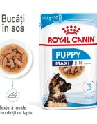 Royal Canin Maxi Puppy hrana umeda caine junior (in sos) 10 x 140 g
