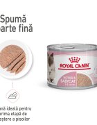 Royal Canin Mother & BabyCat hrana umeda pisica mama si puiul (textura spumoasa) 195 g