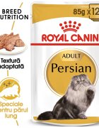 Royal Canin Persian Adult hrana umeda pisica (pate) 12 x 85 g