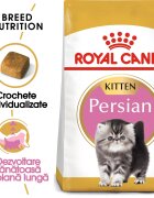 Royal Canin Persian Kitten hrana uscata pisica junior 400 g