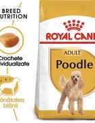 Royal Canin Poodle Adult hrana uscata caine 1.5 kg