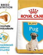 Royal Canin Pug Puppy hrana uscata caine junior 1.5 kg