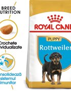 Royal Canin Rottweiler Puppy hrana uscata caine junior 12 kg