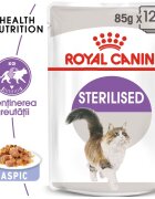 Royal Canin Sterilised Adult hrana umeda pisica sterilizata (in aspic) 12 x 85 g