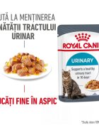 Royal Canin Urinary Care Adult hrana umeda pisica sanatatea tractului urinar (in aspic) 12 x 85 g