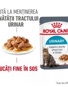 Royal Canin Urinary Care Adult hrana umeda pisica sanatatea tractului urinar (in sos) 12 x 85 g