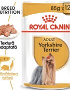 Royal Canin Yorkshire Terrier Adult hrana umeda caine (pate) 12 x 85 g