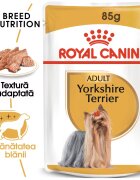 Royal Canin Yorkshire Terrier Adult hrana umeda caine (pate) 85 g