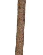 Trixie Bat Creanga Natur Colivie 35 cm 5877