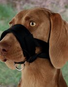 Trixie Botnita Rottweiler XL 20-30 cm/23-34 cm 19282