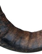 Trixie Corn Natural Mare de Bivol 27743