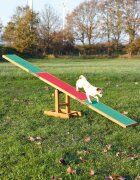 Trixie Jucarie Balansoar Agility Wippe 300x54x34 cm 80 kg 3213 (R)