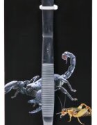 Trixie Penseta de Alimentare pentru Reptile 20 cm 76221
