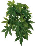 Trixie Plante Artificiale 20x30 cm 76236