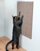 Trixie Sisal XL 50x70 cm Bej 43166