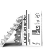 Vetapro Carbon Active Suport Gastrointestinal Caini si Pisici 20 capsule
