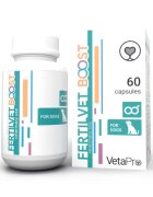 Vetapro Fertilvet Boost Impuls Fertilitate Caini Masculi 60 capsule