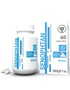 Vetapro Senophtan Small Sanatate Neurologica Caini si Pisici Seniori Rase Mici 60 capsule