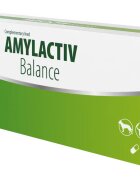 Vetfood Supliment gastrointestinal Amylactiv Balance 60 capsule