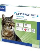 Virbac Effipro Duo Cat pipete antiparazitare pentru pisici 4 pipete