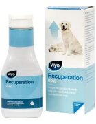 Viyo Recuperation Dog 150 ml