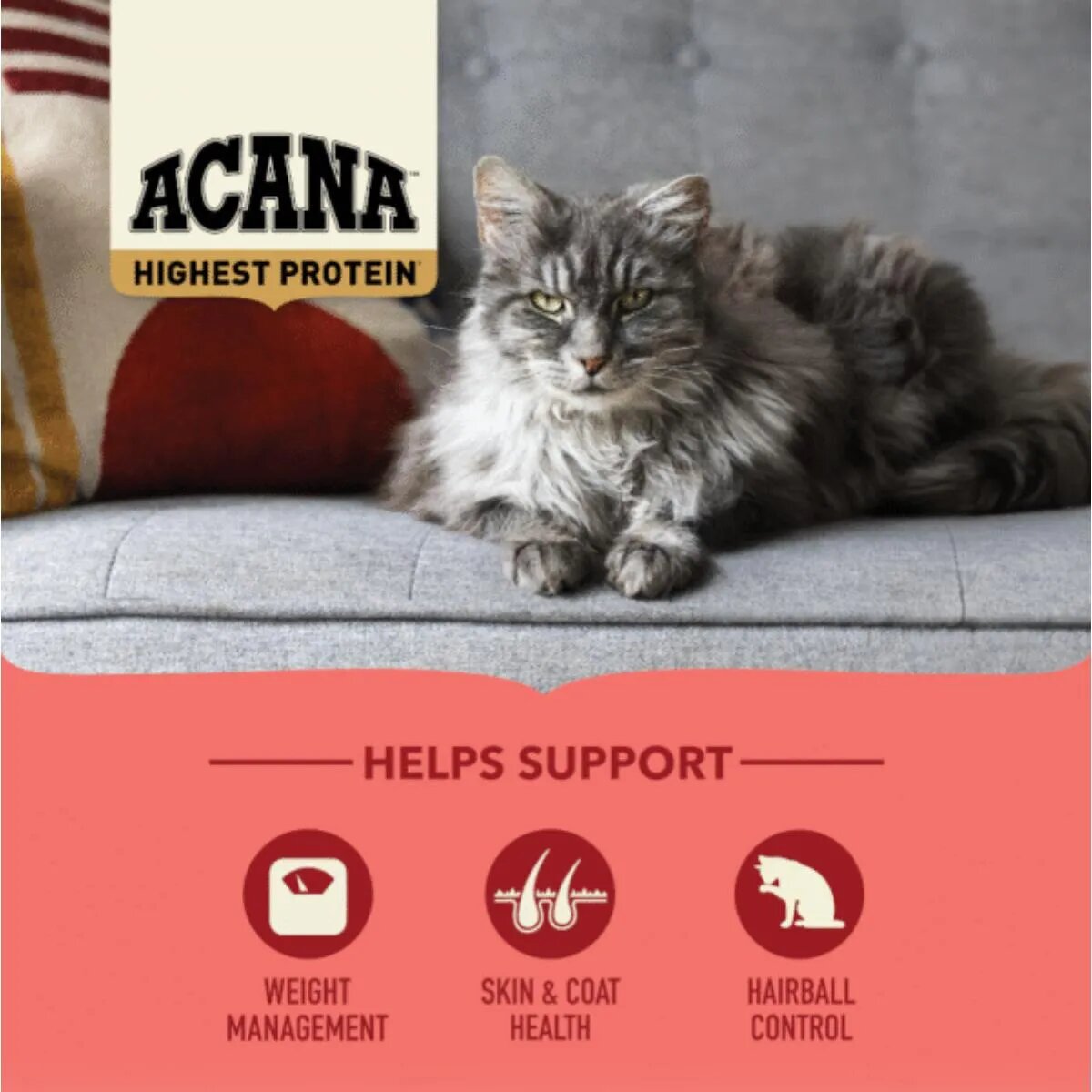 Acana High Protein Indoor Pui și Somon hrană uscată fără cereale pisici 4.5kg