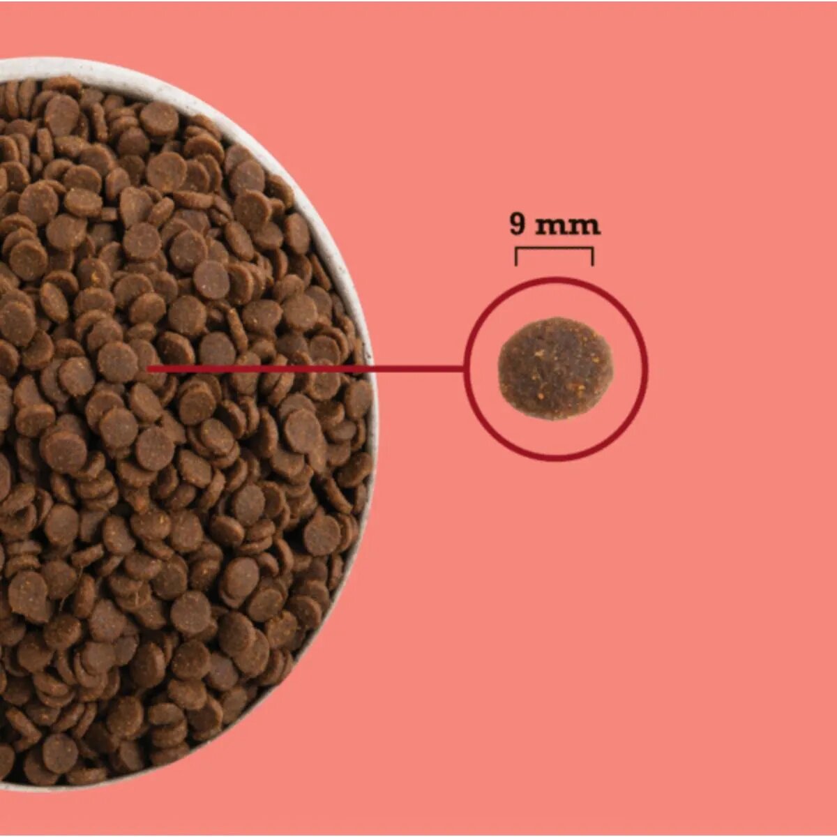 Acana High Protein Indoor Pui și Somon hrană uscată fără cereale pisici 4.5kg